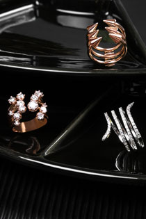 La bague allongée